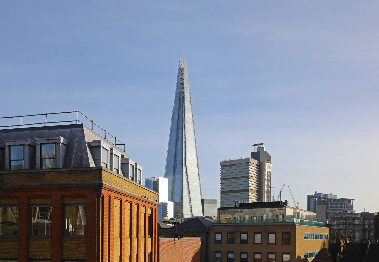 Apartment in London - Borough Shard View SE1